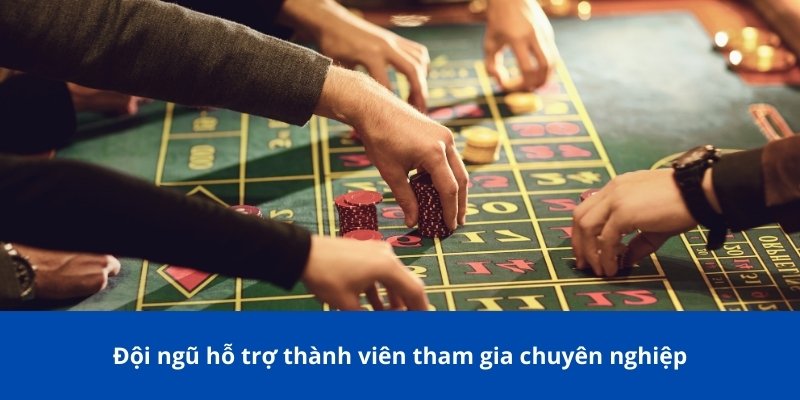 Trang chủ 33 Đội ngũ hỗ trợ thành viên tham gia chuyên nghiệp